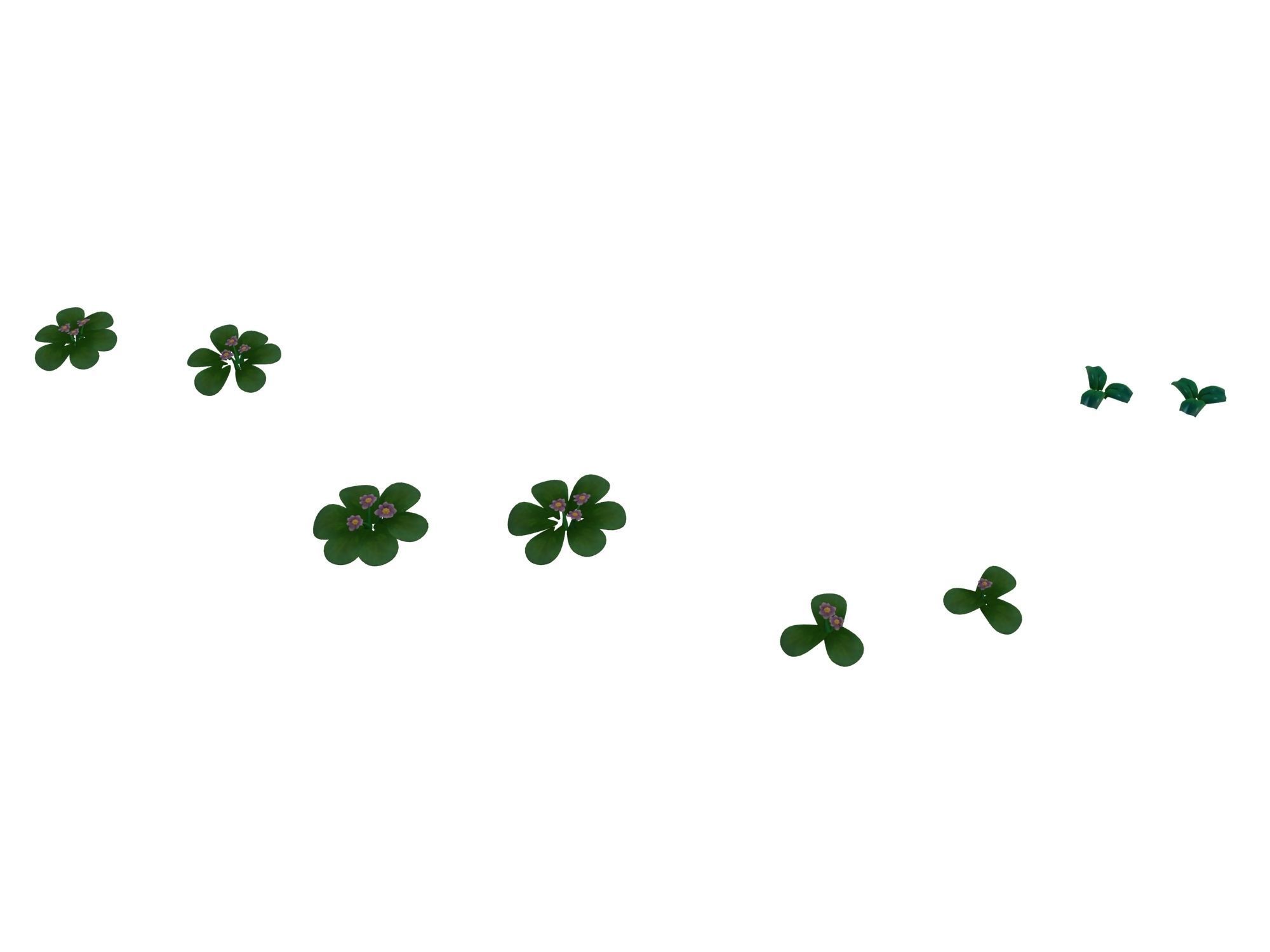 Cartoon plant - clover 3D model_3