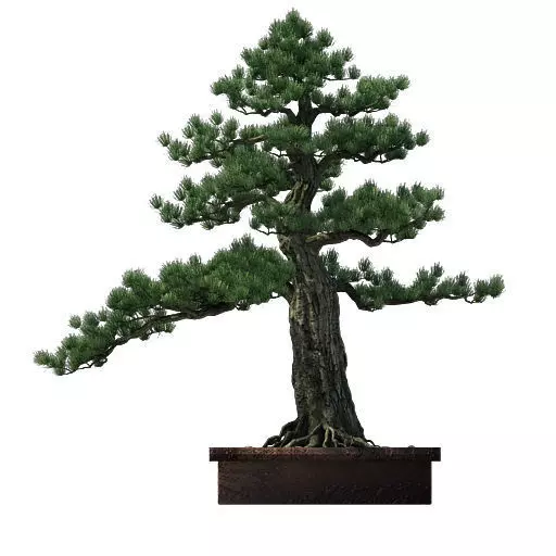 Alchemy - experience tree 3D model