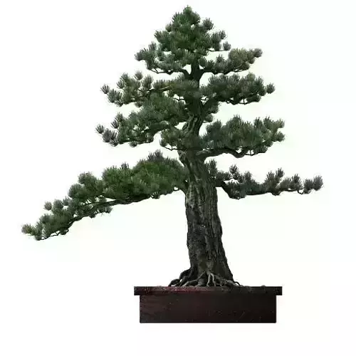 Alchemy - experience tree