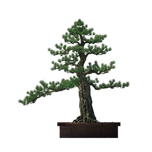 Alchemy - experience tree 02 3D model_1