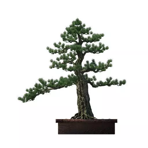 Alchemy - experience tree 02 3D model_0