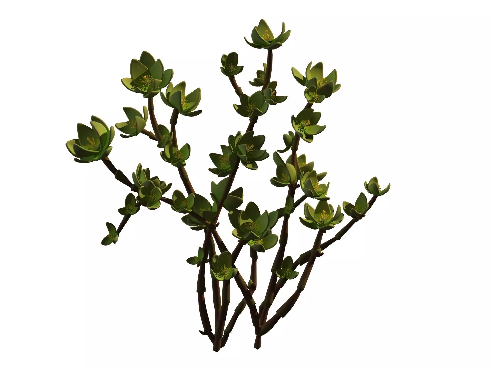 Mount Cliff - Small Plant 01 3D model_0