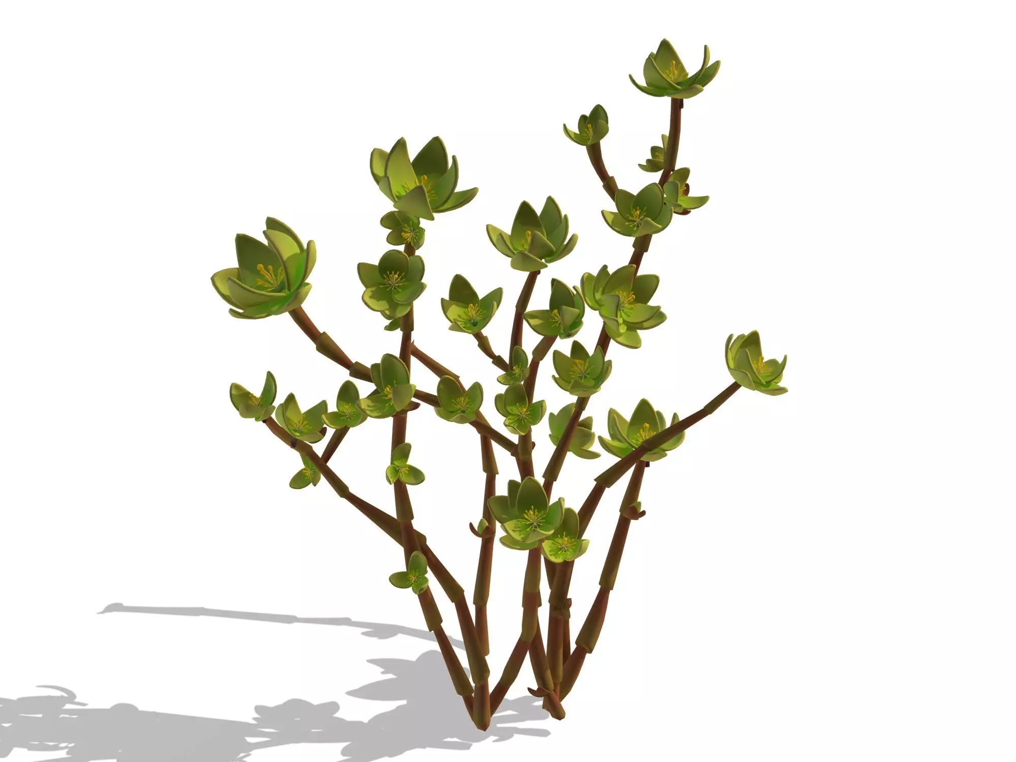 Mount Cliff - Small Plant 02 3D model_0