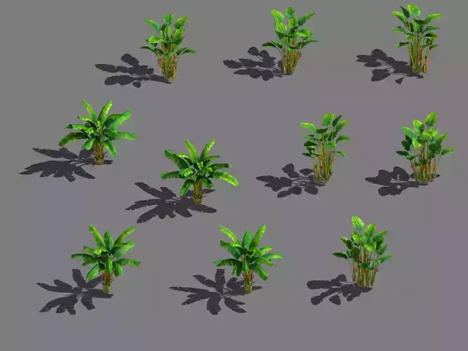 Daughter village - banana tree