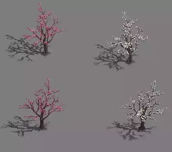 Daughter village - plum tree