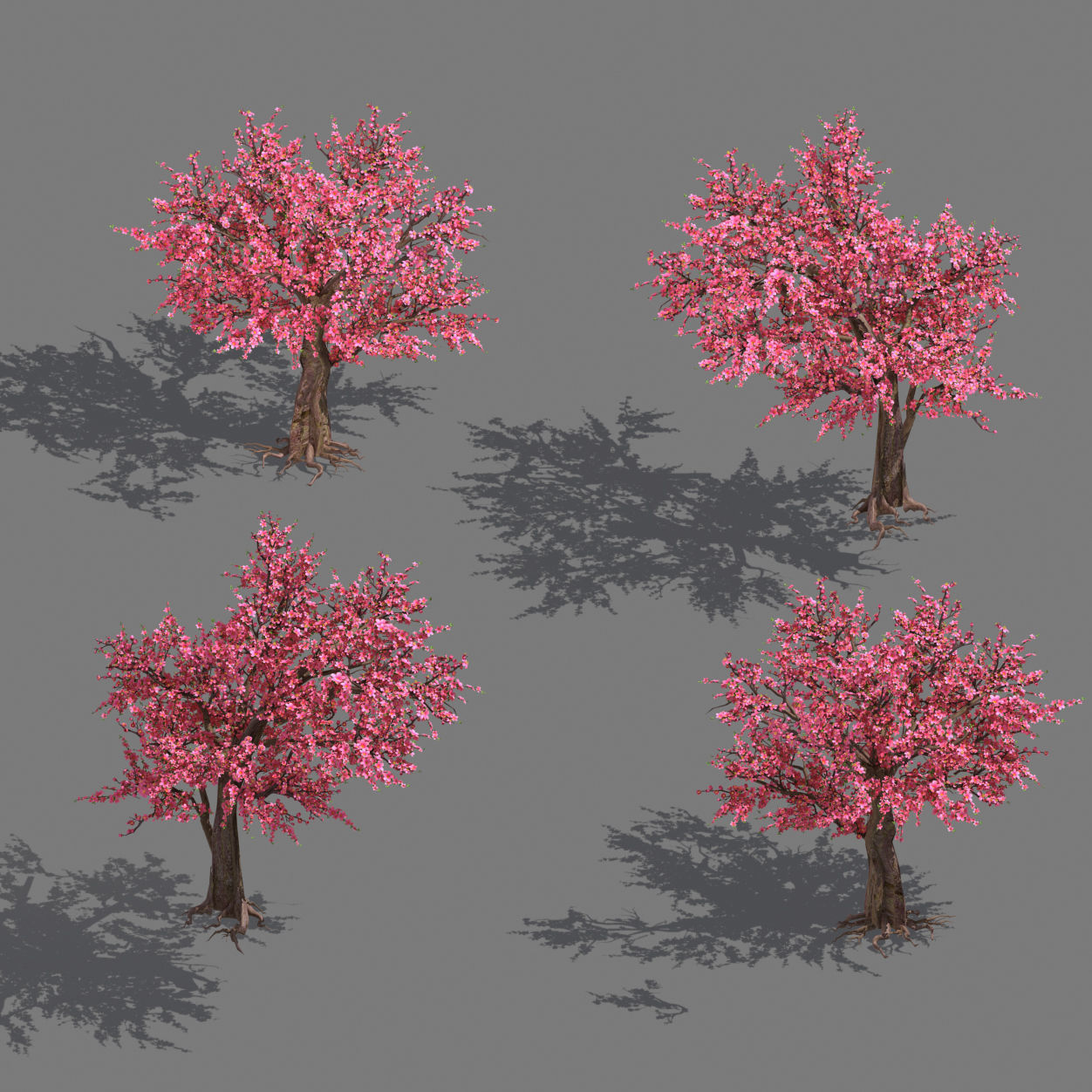 Daughter village plant - peach tree 032 3D model_2