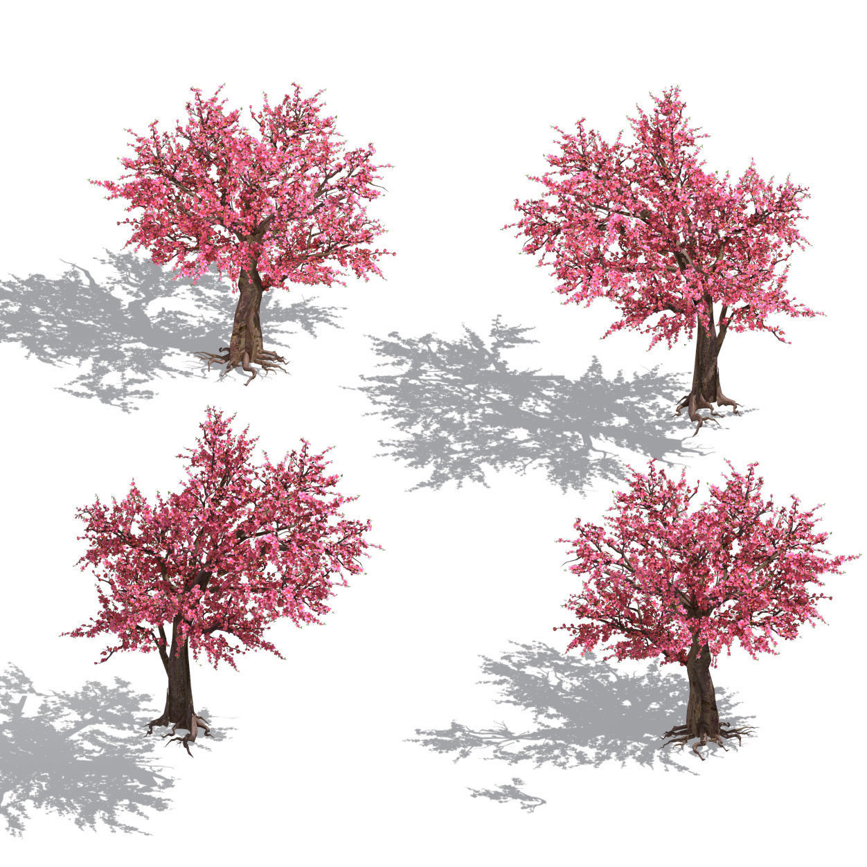 Daughter village plant - peach tree 032 3D model_3