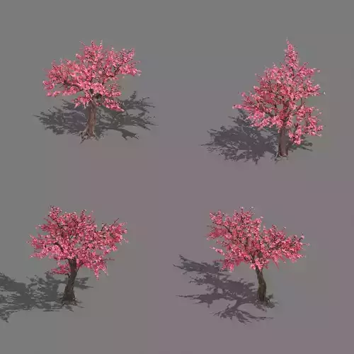 Daughter village plant - peach tree 034