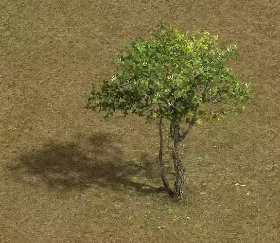 Forest - Large Broadleaf 01