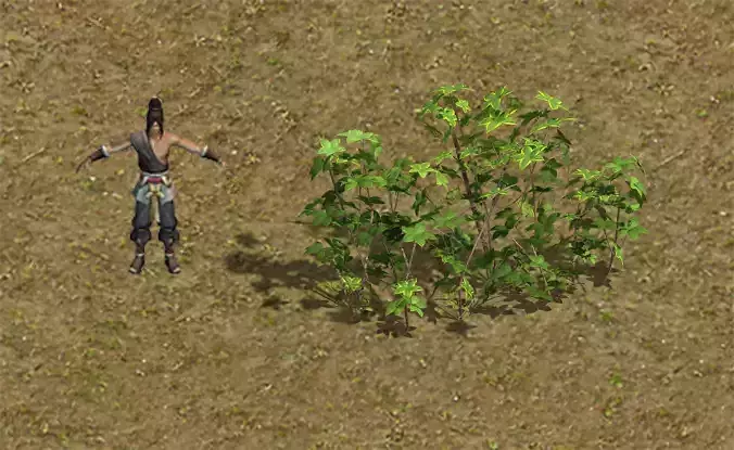 Forest - Large Shrub 09