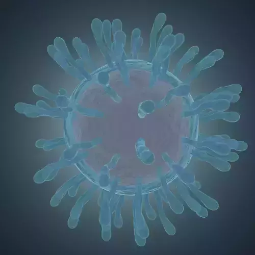  covid-19 coronavirus 