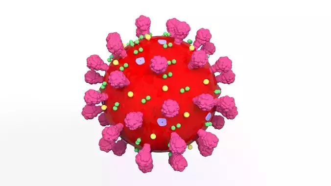 corona virus 2019 cor2019 cor19 koronavirus