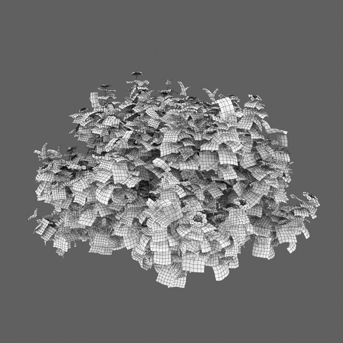 Viburnum flowering 02 3D model_4