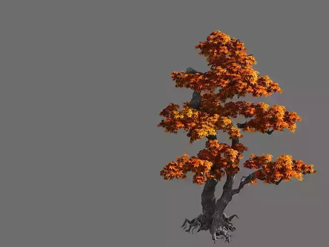 Game Model - Forest - Maple 4