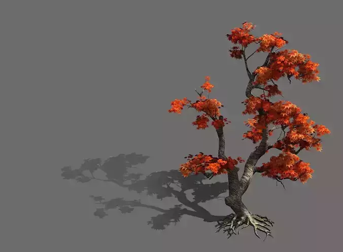 Game Model - Forest - Maple 5