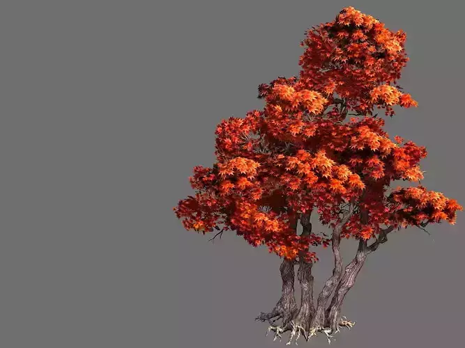 Game Model - Forest - Maple Tree 7