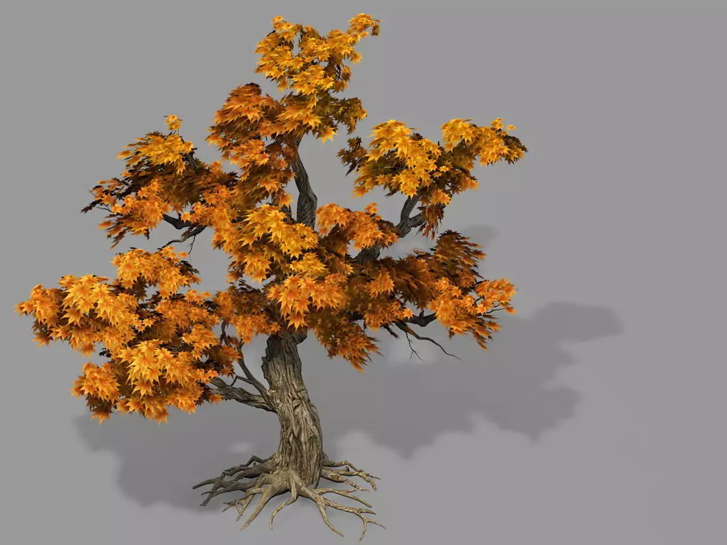 Game Model - Forest - Maple Tree 8 3D model_0