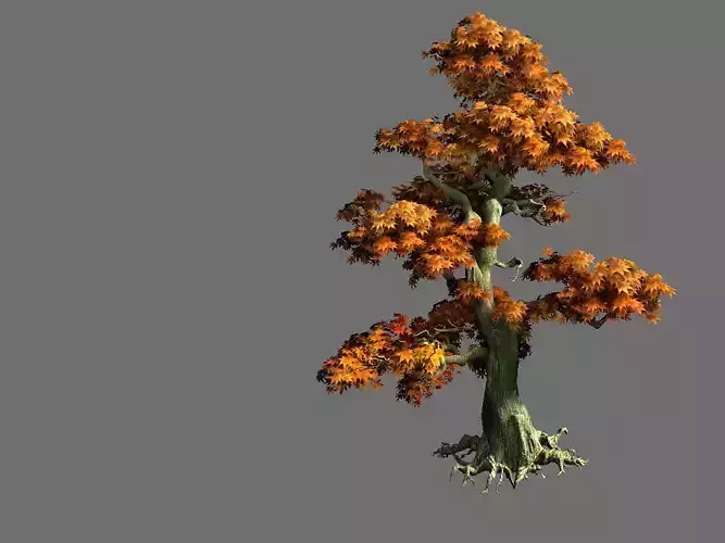 Game Model - Forest - Maple Tree 9