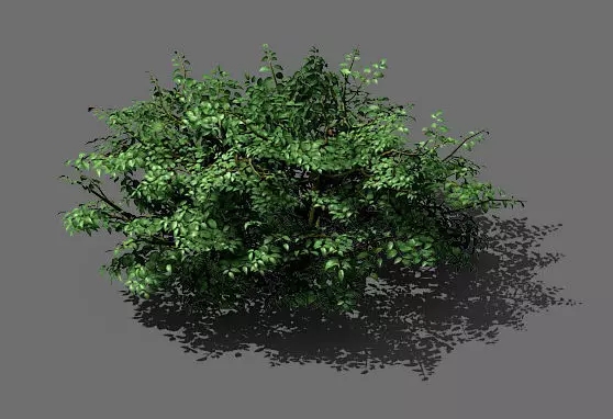 Game Model - Forest - Shrubs 01 3D model_0
