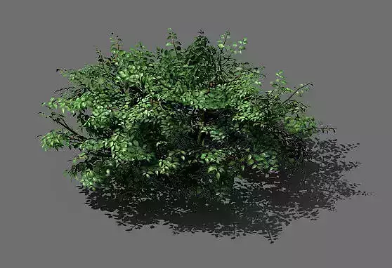 Game Model - Forest - Shrubs 01