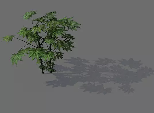 Game Models - Forest - Shrubs 03 3D model_0