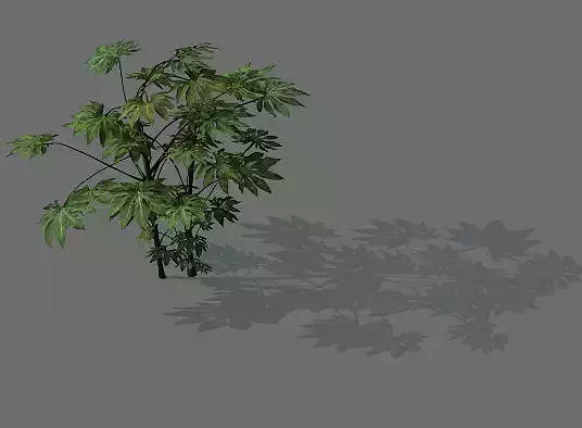 Game Models - Forest - Shrubs 03