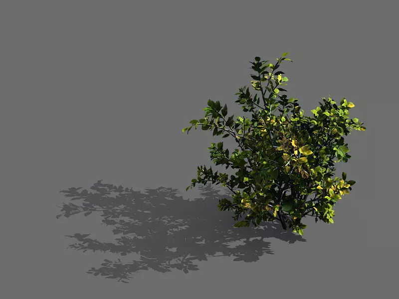 Game Models - Forest - Shrubs 05 3D model_0