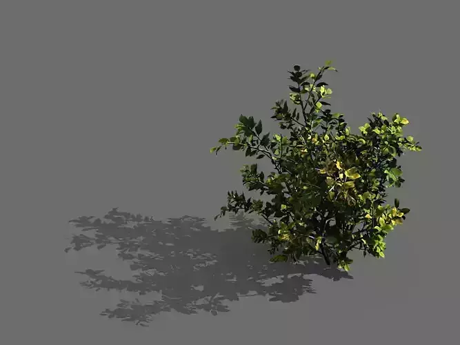 Game Models - Forest - Shrubs 05
