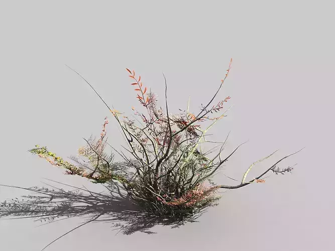Game Models - Forest - Shrubs 06