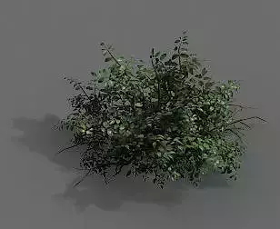 Game Models - Forest - Shrubs 07