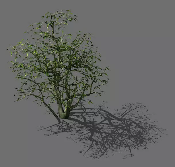 Game Model - Forest - Shrubs 08 3D model_0