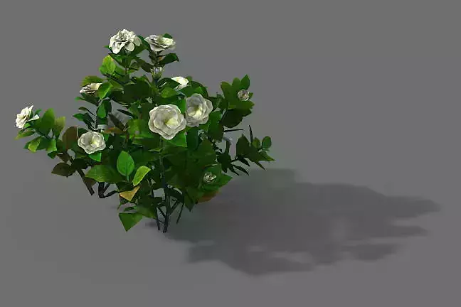 Game Model - Forest - Shrub 09