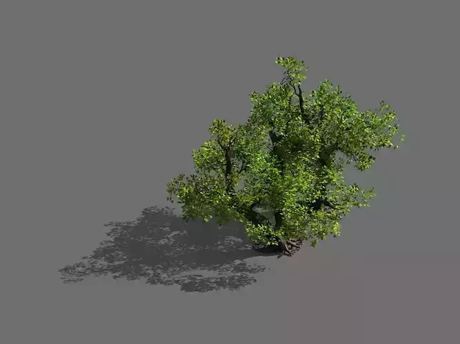 Game Models - Forest - Shrubs 10