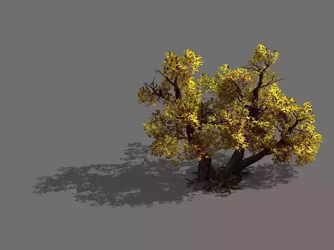 Game Models - Forest - Shrubs 11