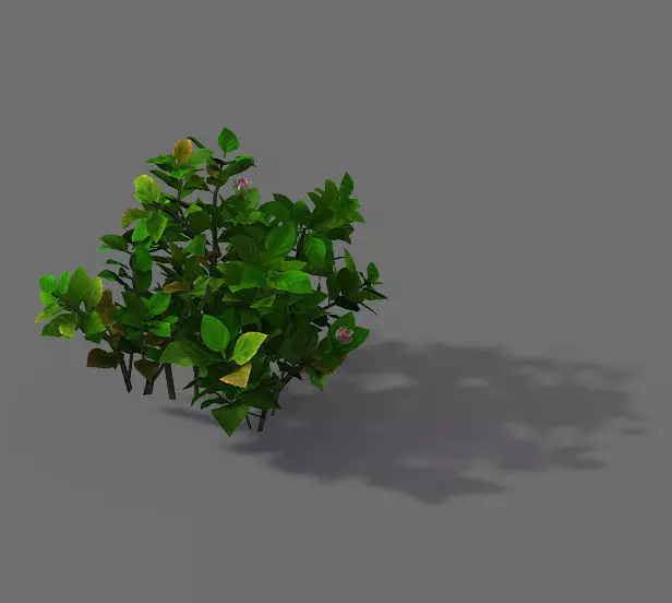 Game Models - Forest - Shrubs 12 3D model_0