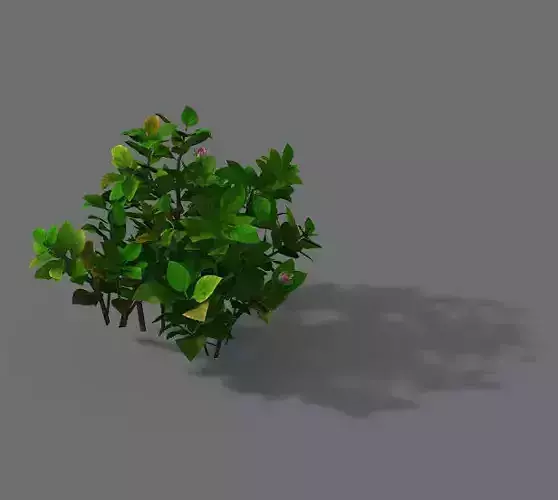 Game Models - Forest - Shrubs 12