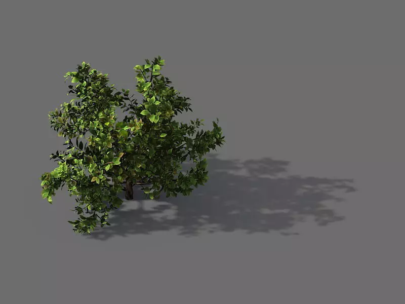 Game Model - Forest - Shrub 13 3D model_0