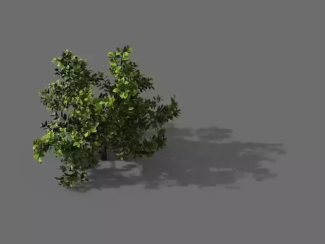 Game Model - Forest - Shrub 13
