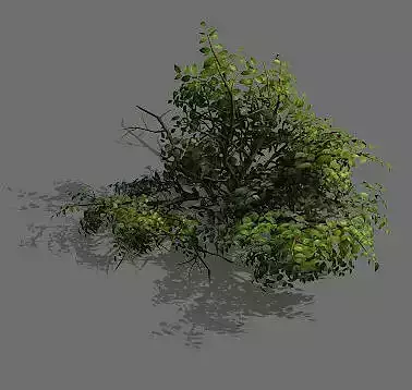 Game Model - Forest - Shrub 15
