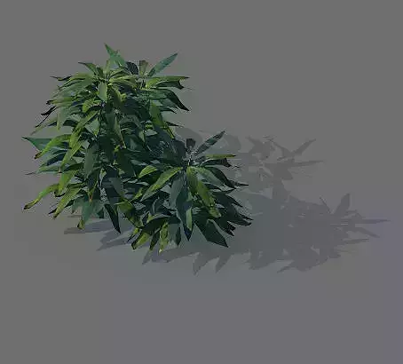 Game Model - Forest - Shrub 16