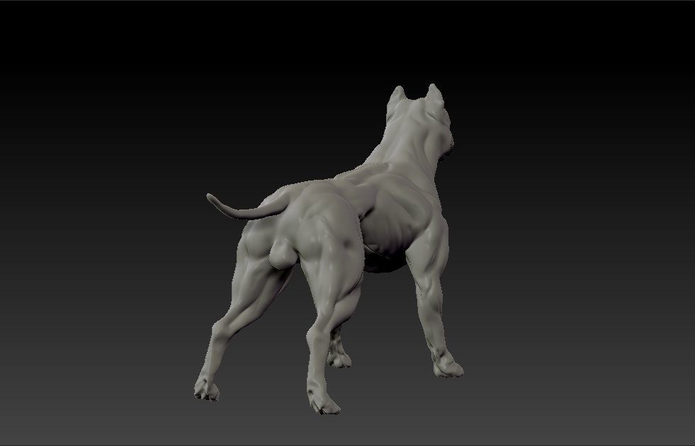 American pitbull terrier dog 3D print model_2