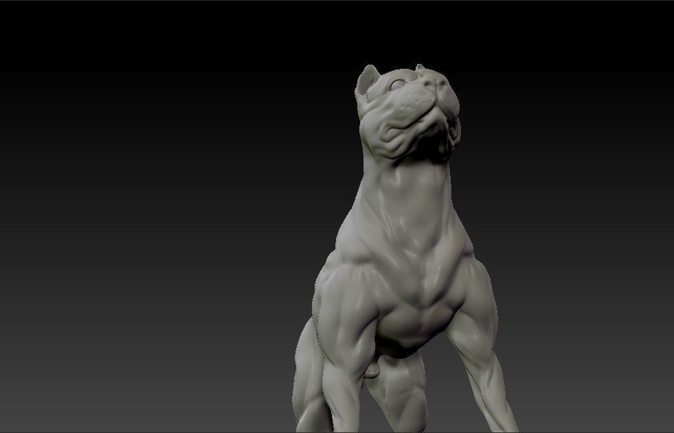 American pitbull terrier dog 3D print model_5