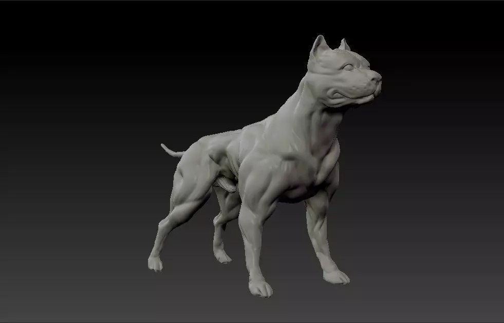 American pitbull terrier dog 3D print model_0