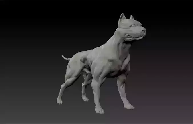 American pitbull terrier dog 3D print model