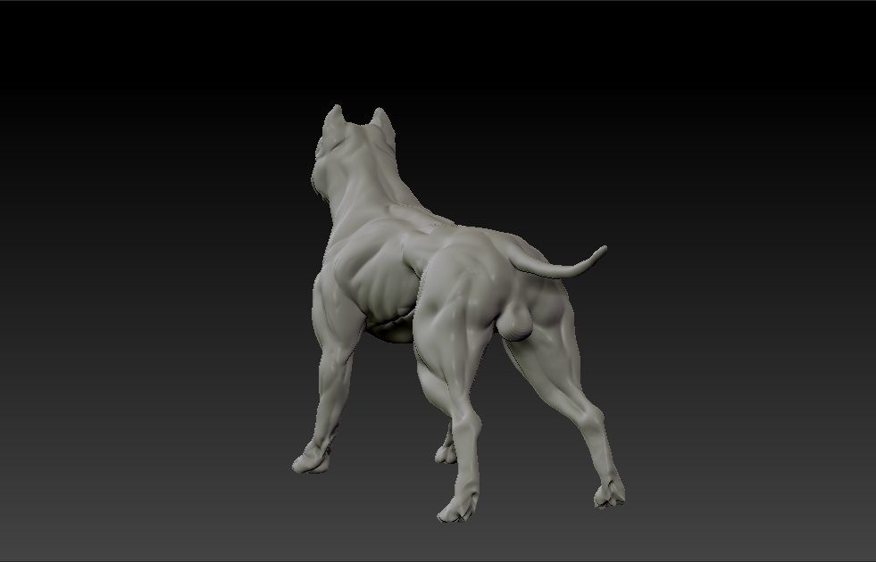 American pitbull terrier dog 3D print model_3