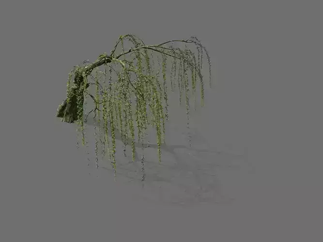 Game Model - Forest - Willow 01