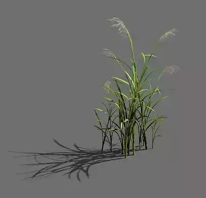 Game Model - Forest - Grass