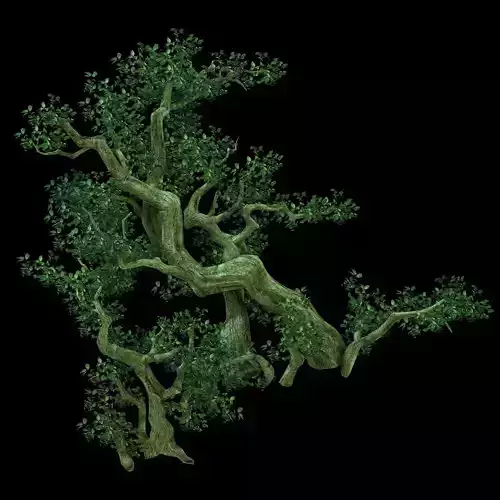 Game Model - Forest - Tree 02