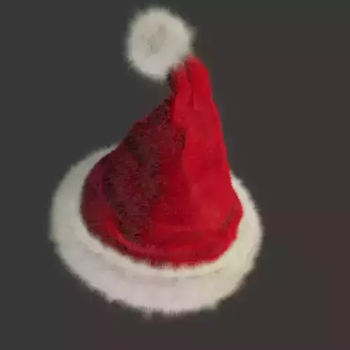 Santa Claus hat