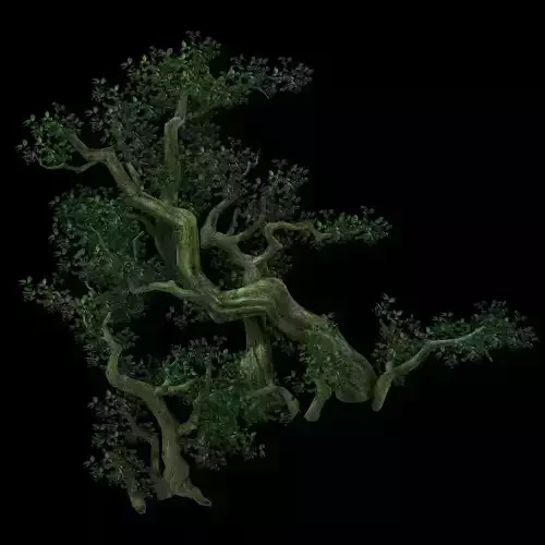 Game Model - Forest - Tree 04